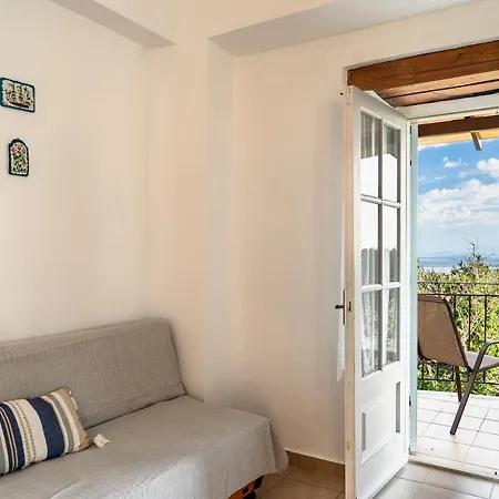 Afroksilia Gardenia *